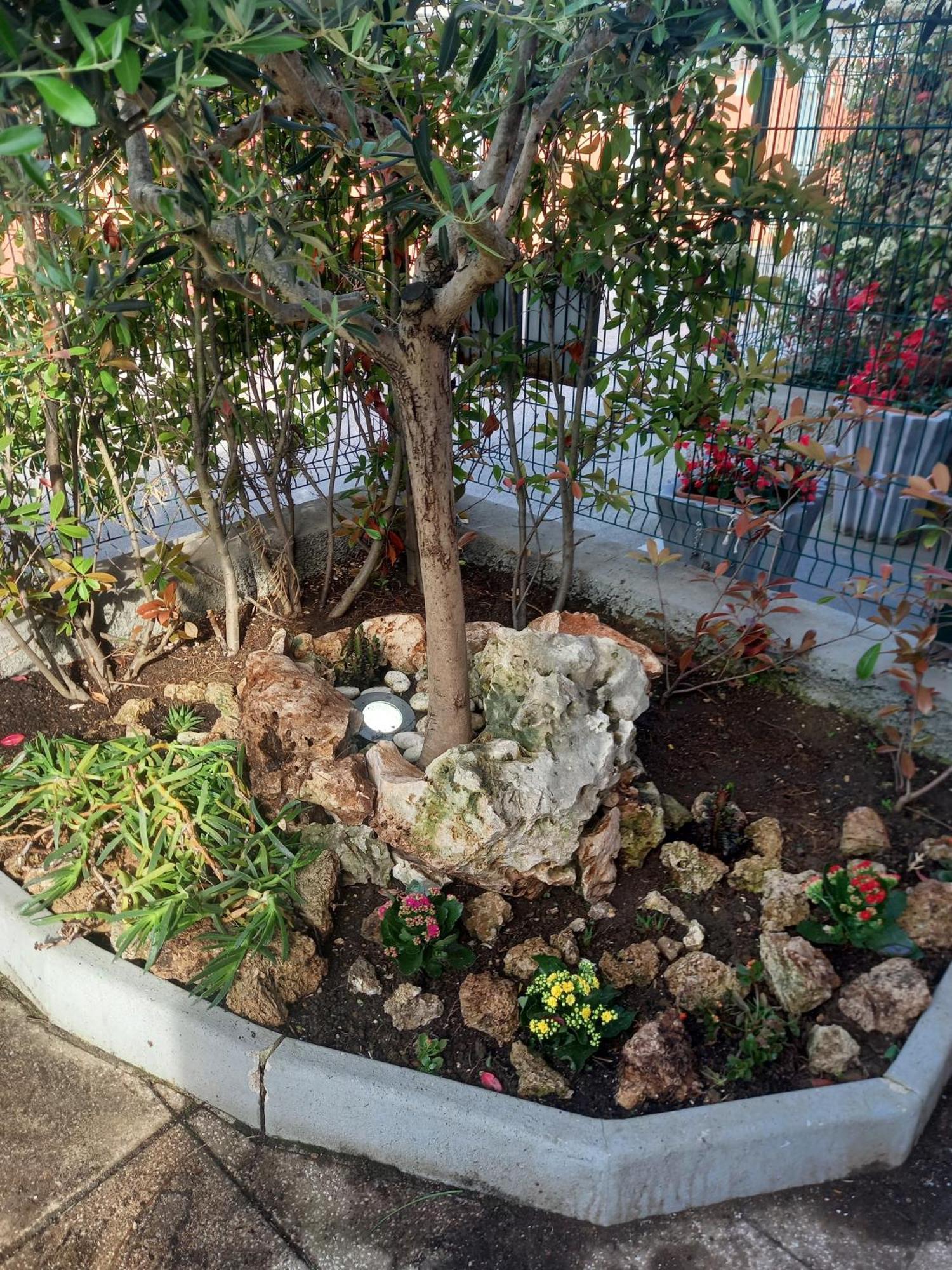 La Casa Di Piccoli Di Gabriele Martelli E Catia Pacetti - Appartamento アンコーナ エクステリア 写真